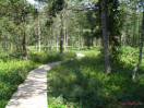 Ubytování Bartošovi