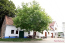 Vinařství Kňourek