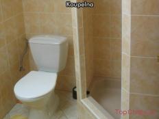 Apartmány U Zlaté stoky * * * koupelna + WC