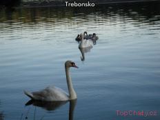 Apartmány U Zlaté stoky * * * Třeboňsko