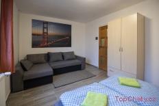 Penzion u Vichů apartmán č.3