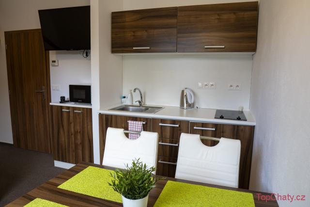 Apartmány Kouty kuchyň