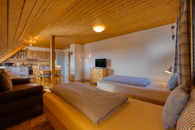 Horské apartmány Rejvíz Vyhlídka - Horský apartmán