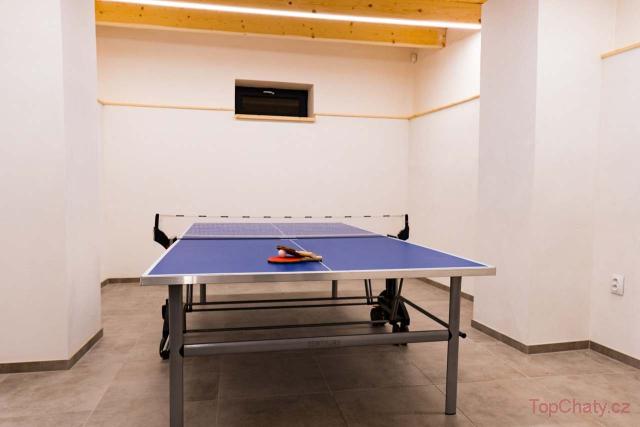 Apartmány NONE ping pongový stůl