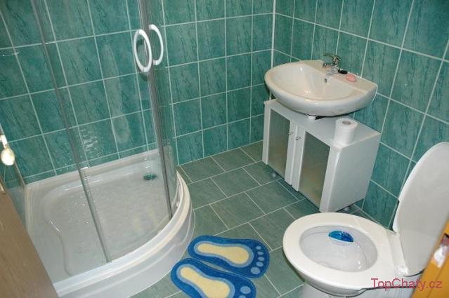 Byty Tyršovka koupelna/WC