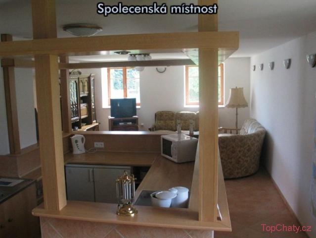 Apartmány U Zlaté stoky * * * společenská místnost