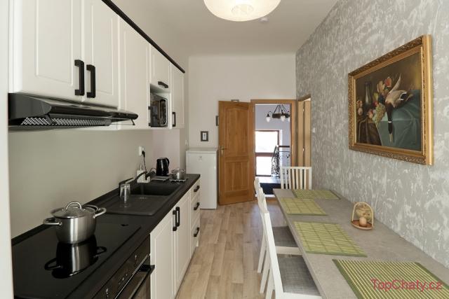 Pension Čížek kuchyň apartmánu 1