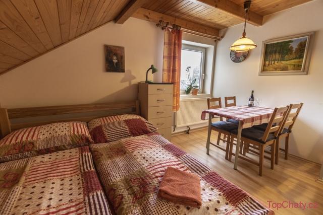 Penzion u Vichů apartmánč.2
