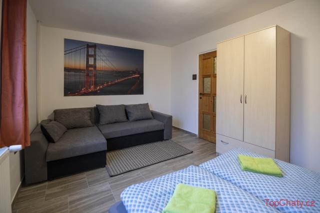 Penzion u Vichů apartmán č.3