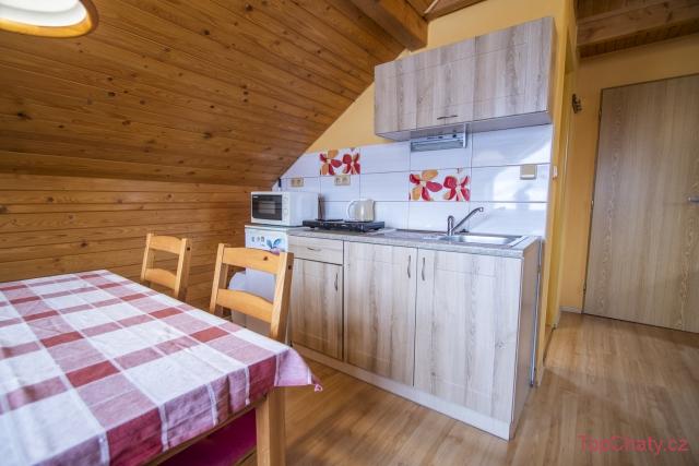 Penzion u Vichů apartmán č.1