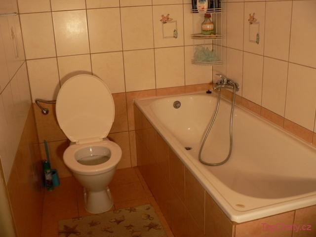 Chalupa na kovárně koupelna/WC